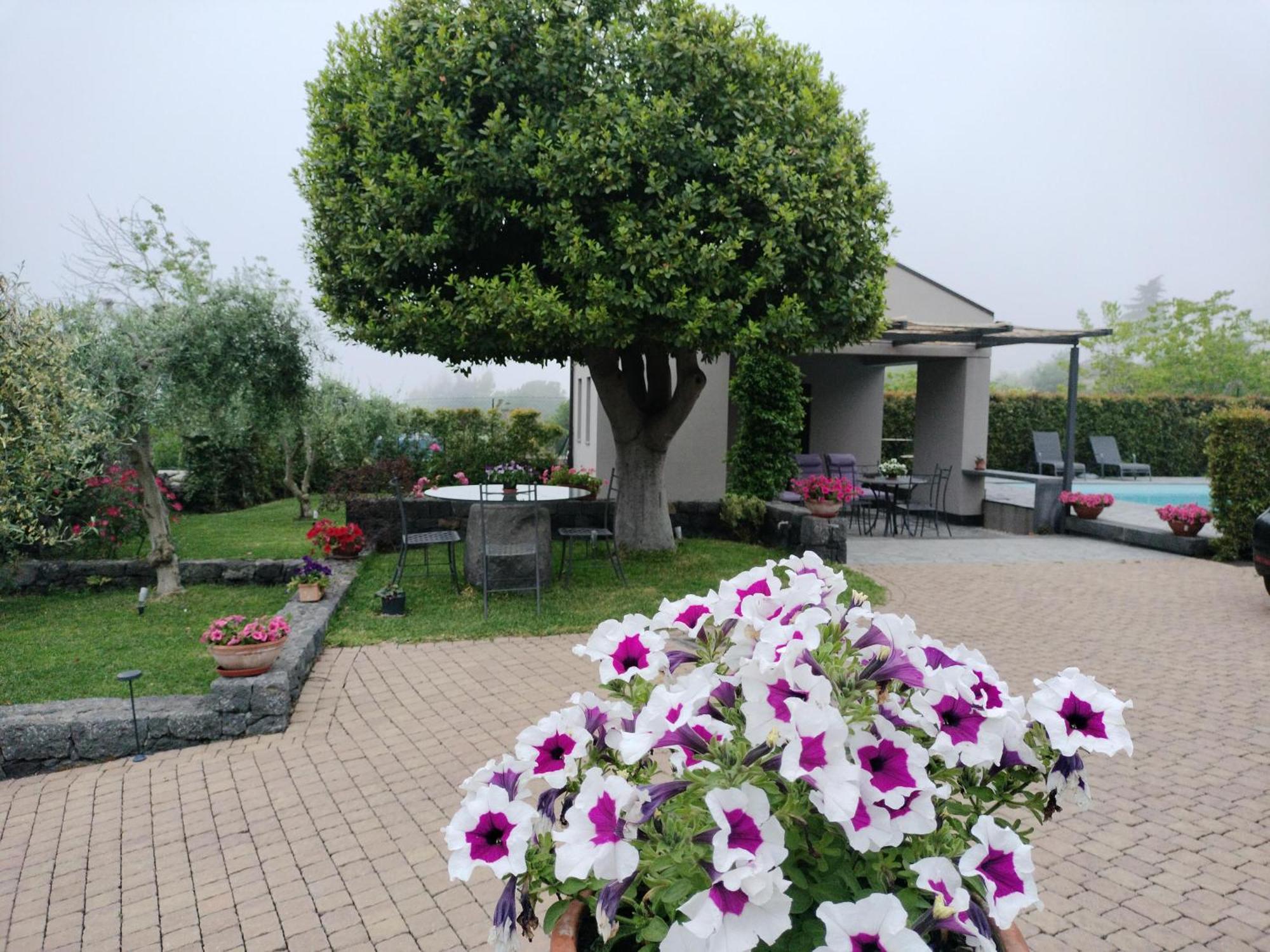 La Casa Dell'Alloro Zafferana Etnea Zewnętrze zdjęcie